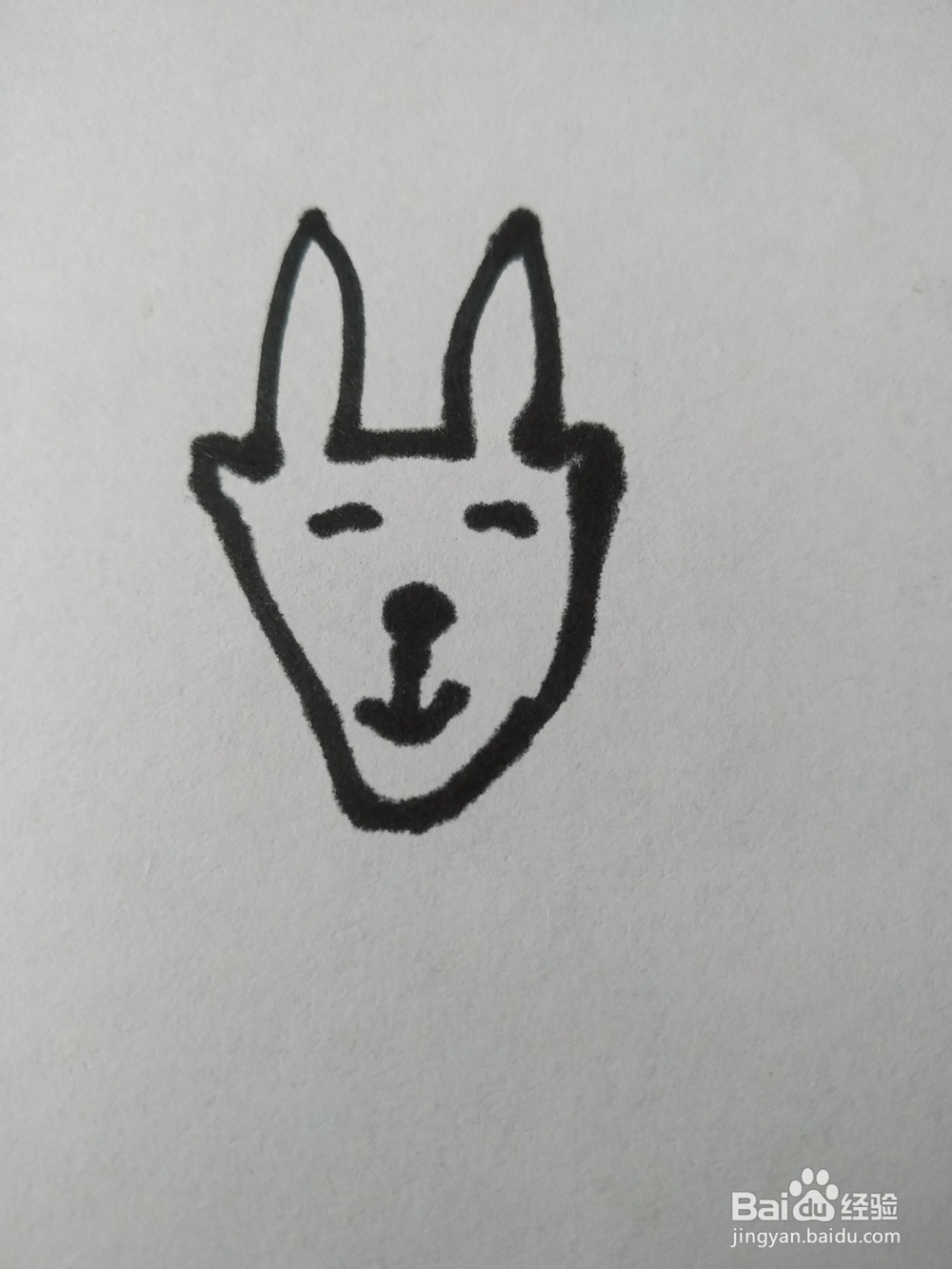 藏羚羊简笔画怎么画？怎么画藏羚羊的呢？