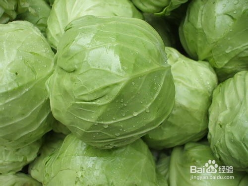 包菜粉丝家常版