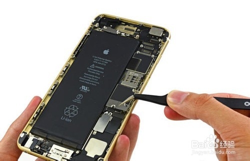 江湖百晓生：iPhone 6和iPhone 6 Plus有何不同