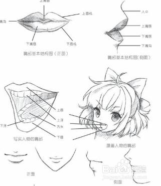 画漫画人物需要注意的六点