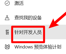 怎么打开win10系统的开发人员模式