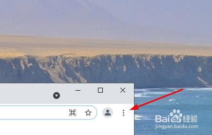 Google Chrome如何查看版本号