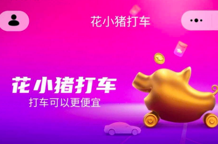 花小猪有没有服务分