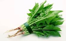 那些食物能够防病抗病?