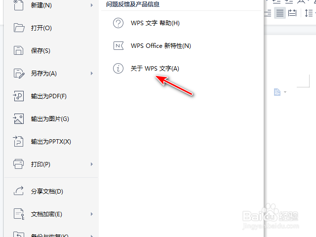 WPS2021文字怎么查看版本号