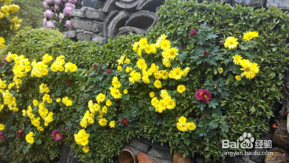 高血压者要注意的几件事