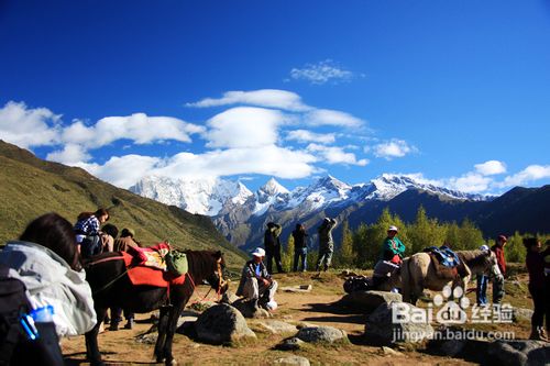 户外活动紧急情况处理