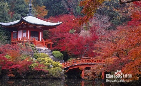 学好数学（小经验）：[3]如何学好数学小经验