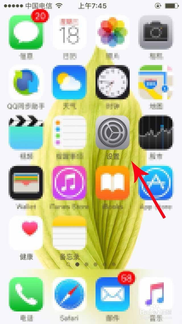 苹果手机如何进行修改设置铃声