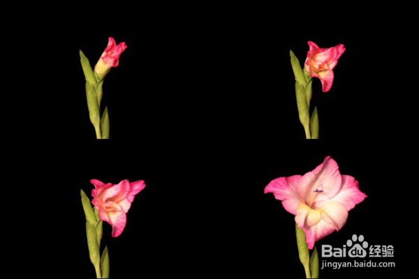 如何利用多媒体提高学生学习动机