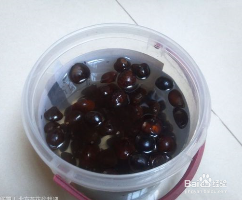 山茶花种子怎么种