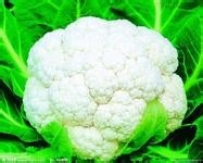 秋季减肥大作战 推荐4款美味减肥到底