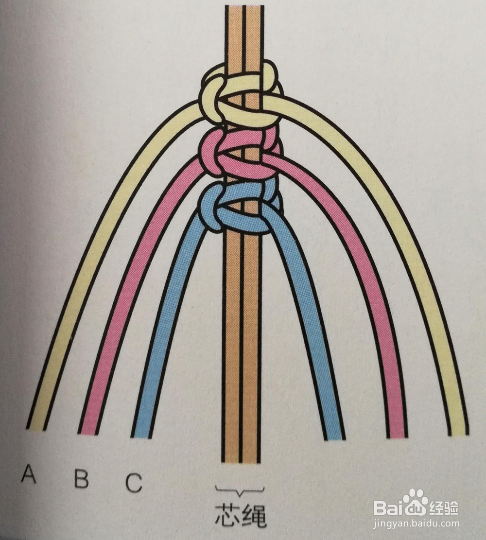 鱼骨绳结编法图片