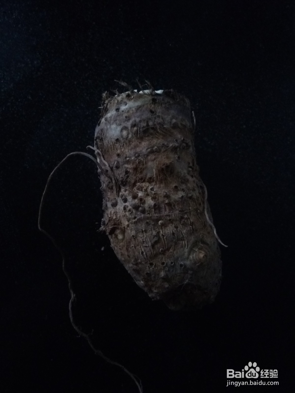 香芋和面粉的做法