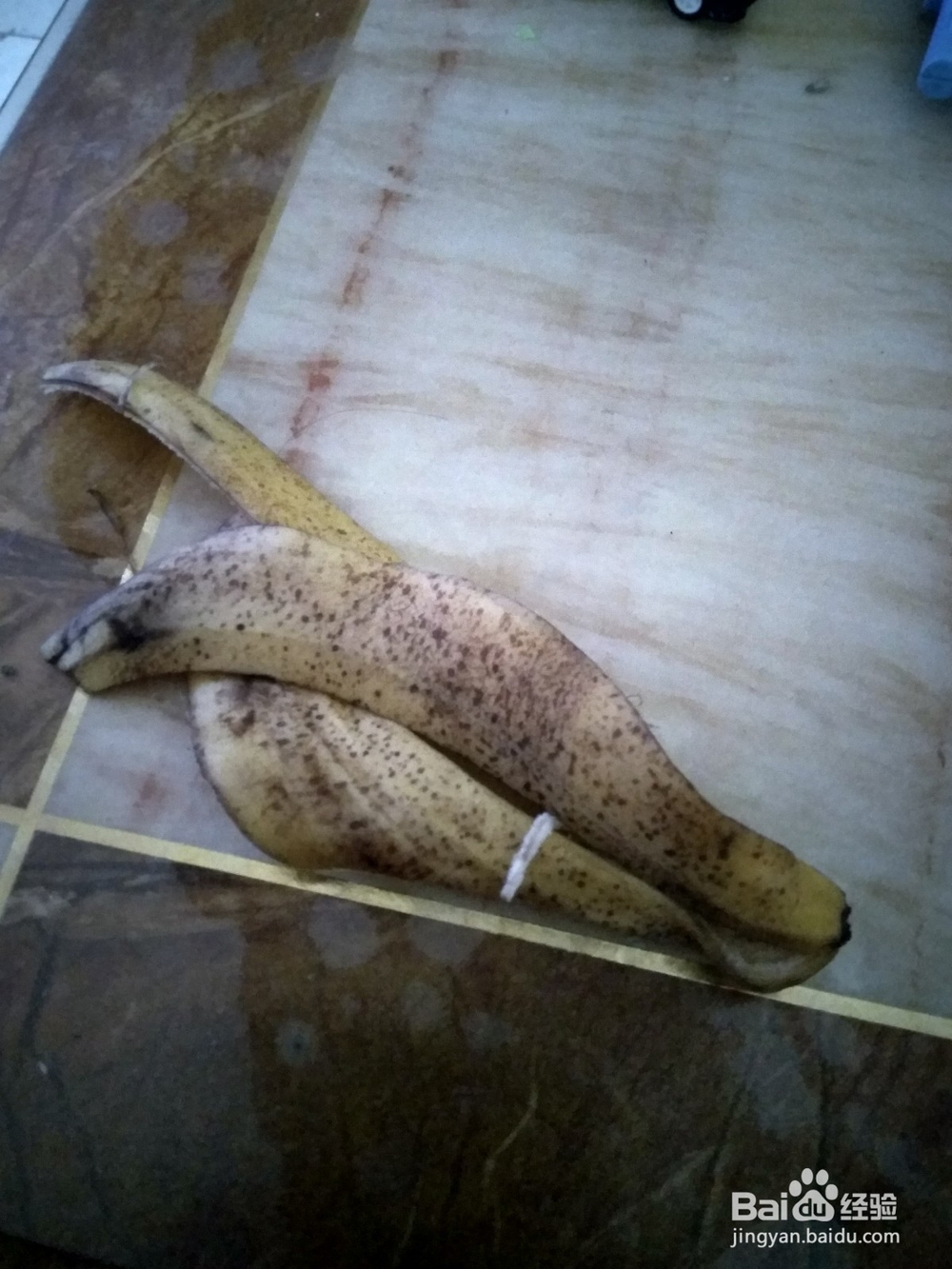 消灭蟑螂的诸多方法