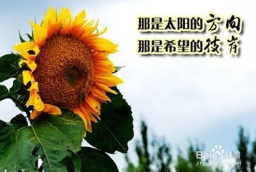 试卷分析应该包括哪些内容？