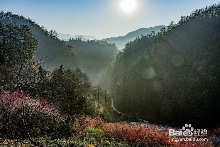 卖花渔村游玩攻略