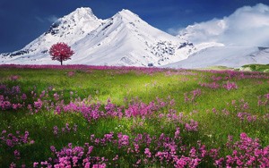 隐瞒病情投保后保险人能否拒赔？