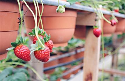 鼓励自己的励志短句