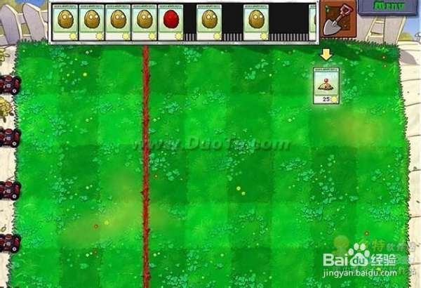 《植物大战僵尸》第一大关详细流程攻略