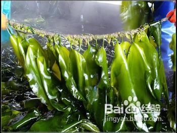 保护肝脏从食物开始