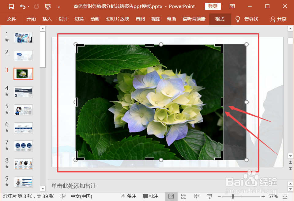 ppt中怎么裁剪图片