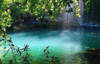 《鼎湖山听泉》的中心或主旨