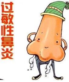 过敏性鼻炎简易疗法