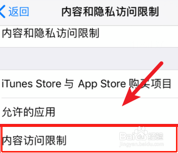 苹果ios12怎么隐藏应用 ios12隐藏应用教程