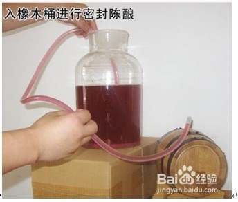 如何自己动手酿造干红葡萄酒