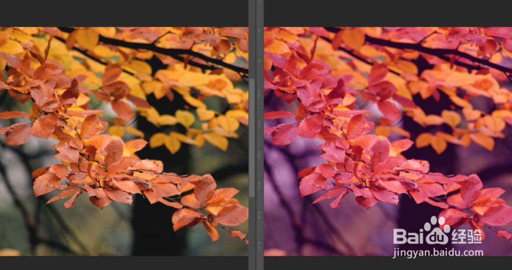 PS怎么改变图片的颜色？