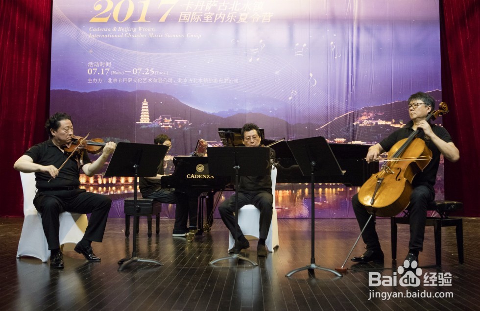 卡丹萨小编分享购买提琴的注意事项