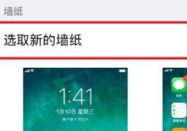 苹果15如何设置动态壁纸