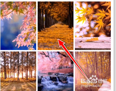 图虫App如何查看发布的图片调色参数