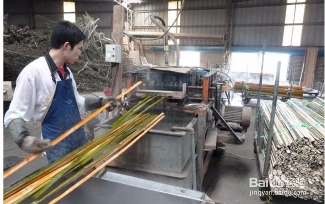 竹子怎么处理能弯曲