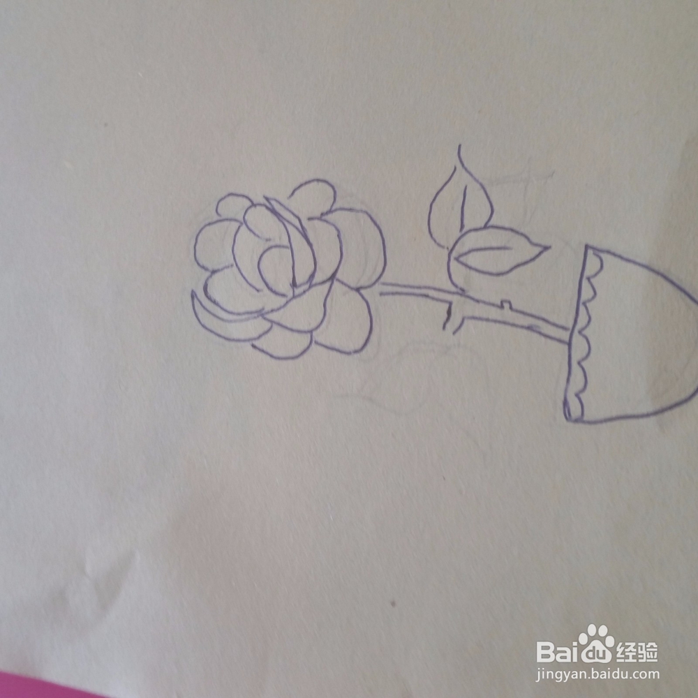 牡丹花简笔画
