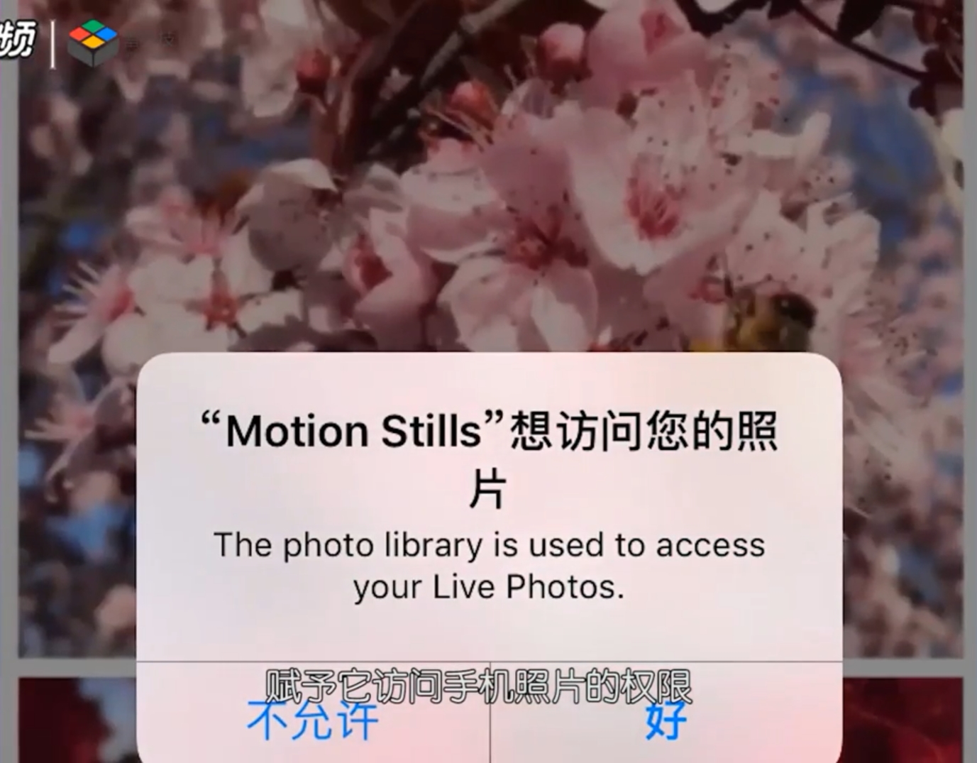 苹果的动态图怎样转成GIF图