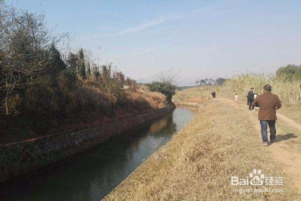 搞工程实习生应怎么做?