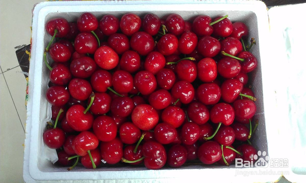 买樱桃时这样才能挑到好吃的