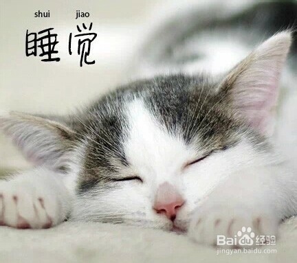 夏天最幸福的九件事情