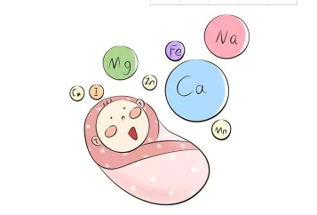 花胶的功效与作用及食用方法大全