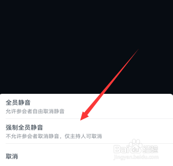 钉钉视频会议全员静音在哪里设置开启