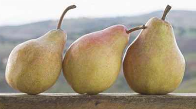 吃什么水果刮油最快