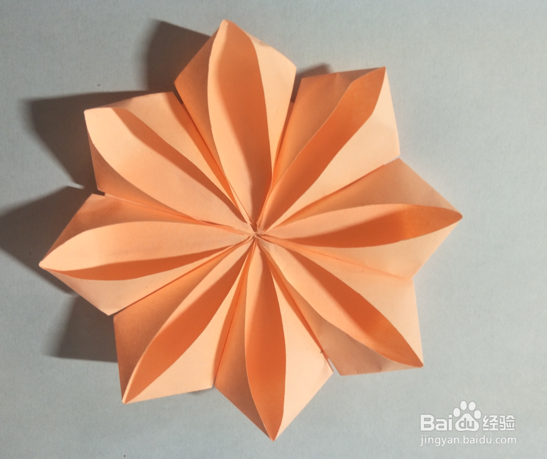 折纸:春花折纸图解教程