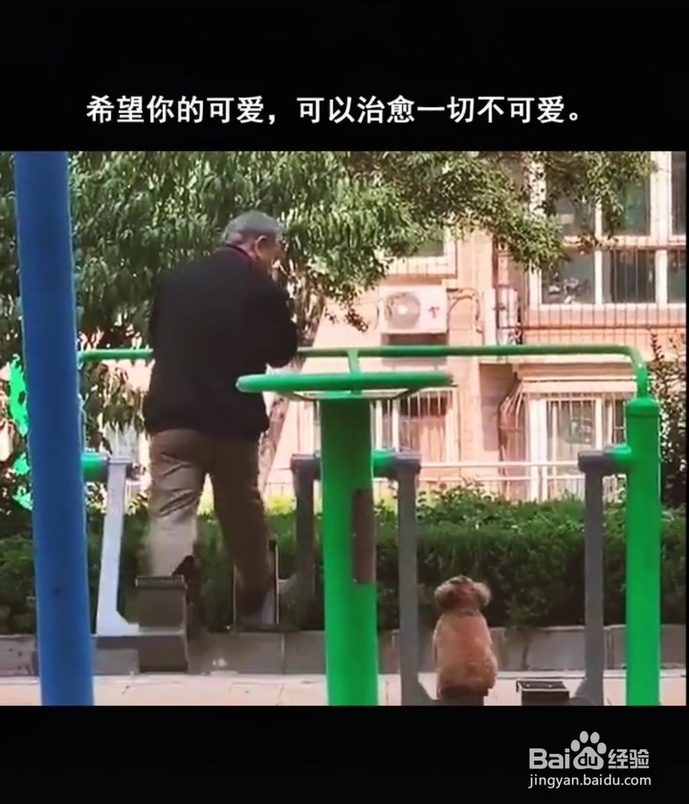 我们必须知道的健康：“情志”与“气机”的关系