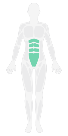 屈腿两头起_马甲线养成