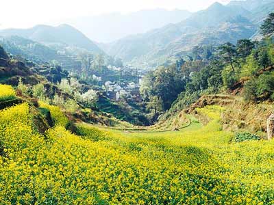 初春婺源旅游景点攻略