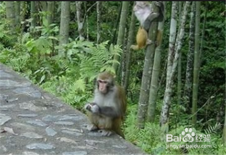 夏季永春适合避暑度假的几个地方