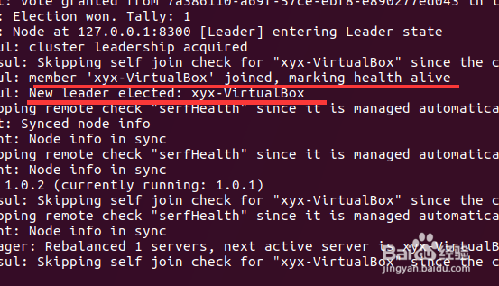 consul学习之consul运行代理_02