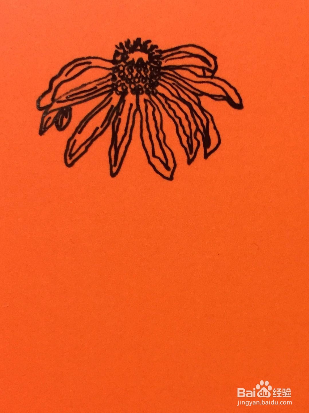 插画教程之凋谢的花